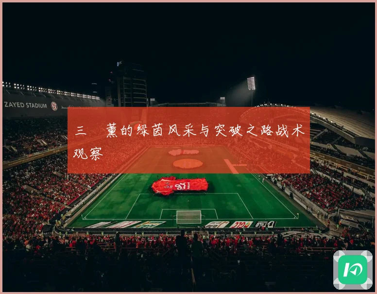 三笘薰的绿茵风采与突破之路战术观察