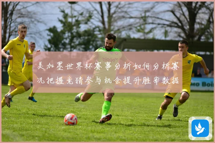 美加墨世界杯赛事分析如何分析赛况把握竞猜参与机会提升胜率数据研判